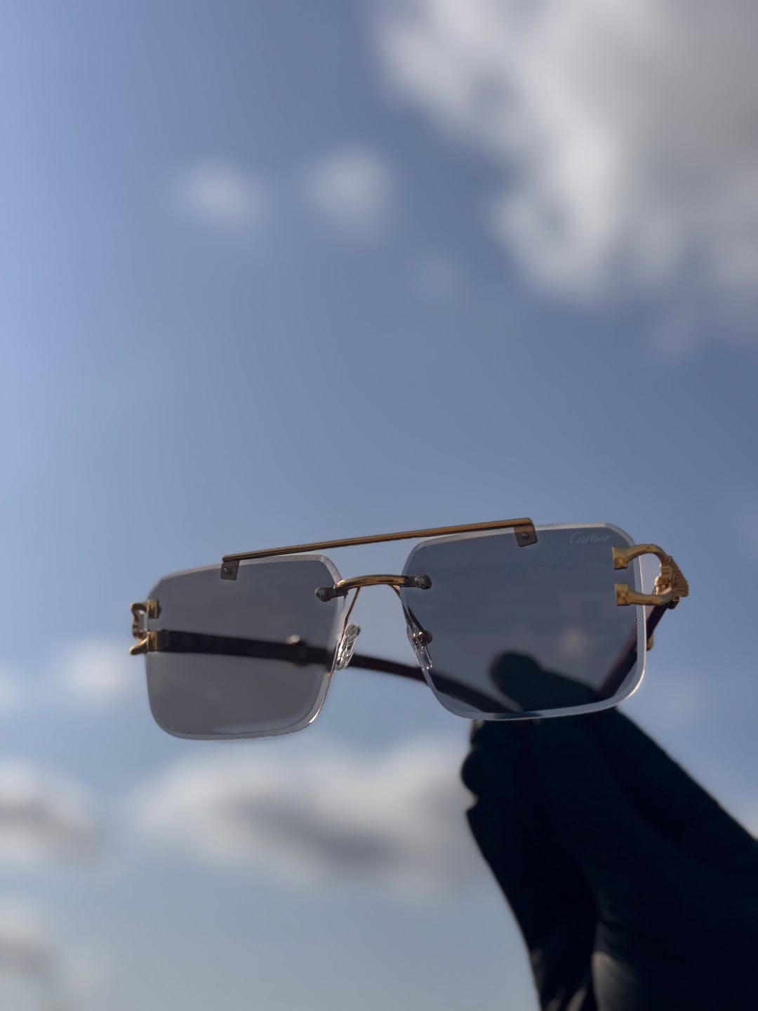 SOLAR CHEETAH GLASSES - (LIMITED STOCK)نظارات شمسية